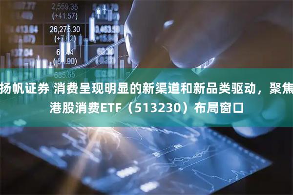 扬帆证券 消费呈现明显的新渠道和新品类驱动，聚焦港股消费ETF（513230）布局窗口