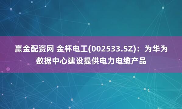 赢金配资网 金杯电工(002533.SZ)：为华为数据中心建设提供电力电缆产品